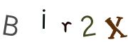 Bild-CAPTCHA