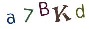Bild-CAPTCHA