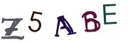 Bild-CAPTCHA