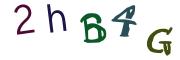 Bild-CAPTCHA