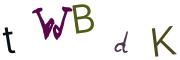 Bild-CAPTCHA