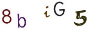 Bild-CAPTCHA