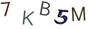Bild-CAPTCHA