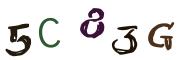Bild-CAPTCHA