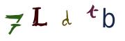 Bild-CAPTCHA