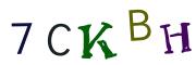 Bild-CAPTCHA