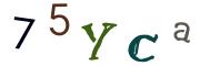 Bild-CAPTCHA