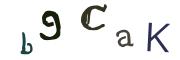 Bild-CAPTCHA