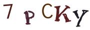 Bild-CAPTCHA