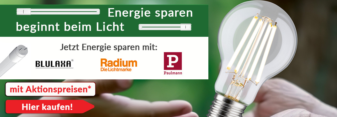Energie sparen beginnt beim Licht &ndash; Leuchtmittelaustausch zum Int. Tag des Energiesparens