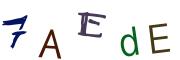 Image CAPTCHA