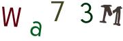 Image CAPTCHA
