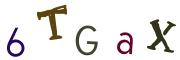 CAPTCHA con immagine