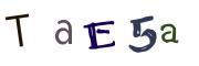CAPTCHA con immagine