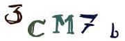 Beeld-CAPTCHA
