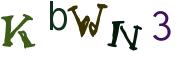 Beeld-CAPTCHA