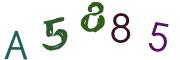 Beeld-CAPTCHA