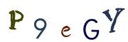 Beeld-CAPTCHA