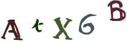 Beeld-CAPTCHA