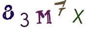 Beeld-CAPTCHA