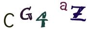 Beeld-CAPTCHA