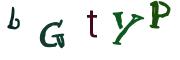 Beeld-CAPTCHA