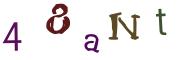 Beeld-CAPTCHA