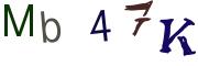 Beeld-CAPTCHA