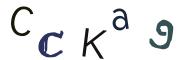 Beeld-CAPTCHA