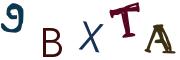 Beeld-CAPTCHA
