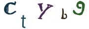 Beeld-CAPTCHA