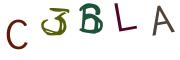 Beeld-CAPTCHA