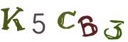 Beeld-CAPTCHA