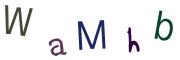 Beeld-CAPTCHA