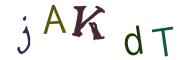 Beeld-CAPTCHA