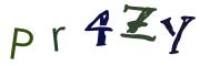 Beeld-CAPTCHA