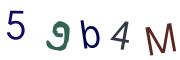Beeld-CAPTCHA