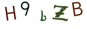 Beeld-CAPTCHA