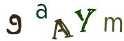 Beeld-CAPTCHA