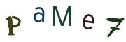 Beeld-CAPTCHA