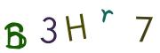 Beeld-CAPTCHA