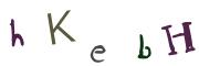 Beeld-CAPTCHA