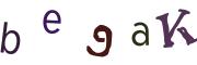 Beeld-CAPTCHA