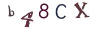 Beeld-CAPTCHA