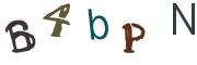 Beeld-CAPTCHA