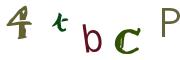 Beeld-CAPTCHA