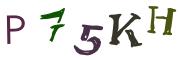 Beeld-CAPTCHA