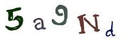 Beeld-CAPTCHA