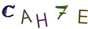 Beeld-CAPTCHA