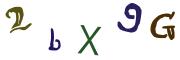 Beeld-CAPTCHA